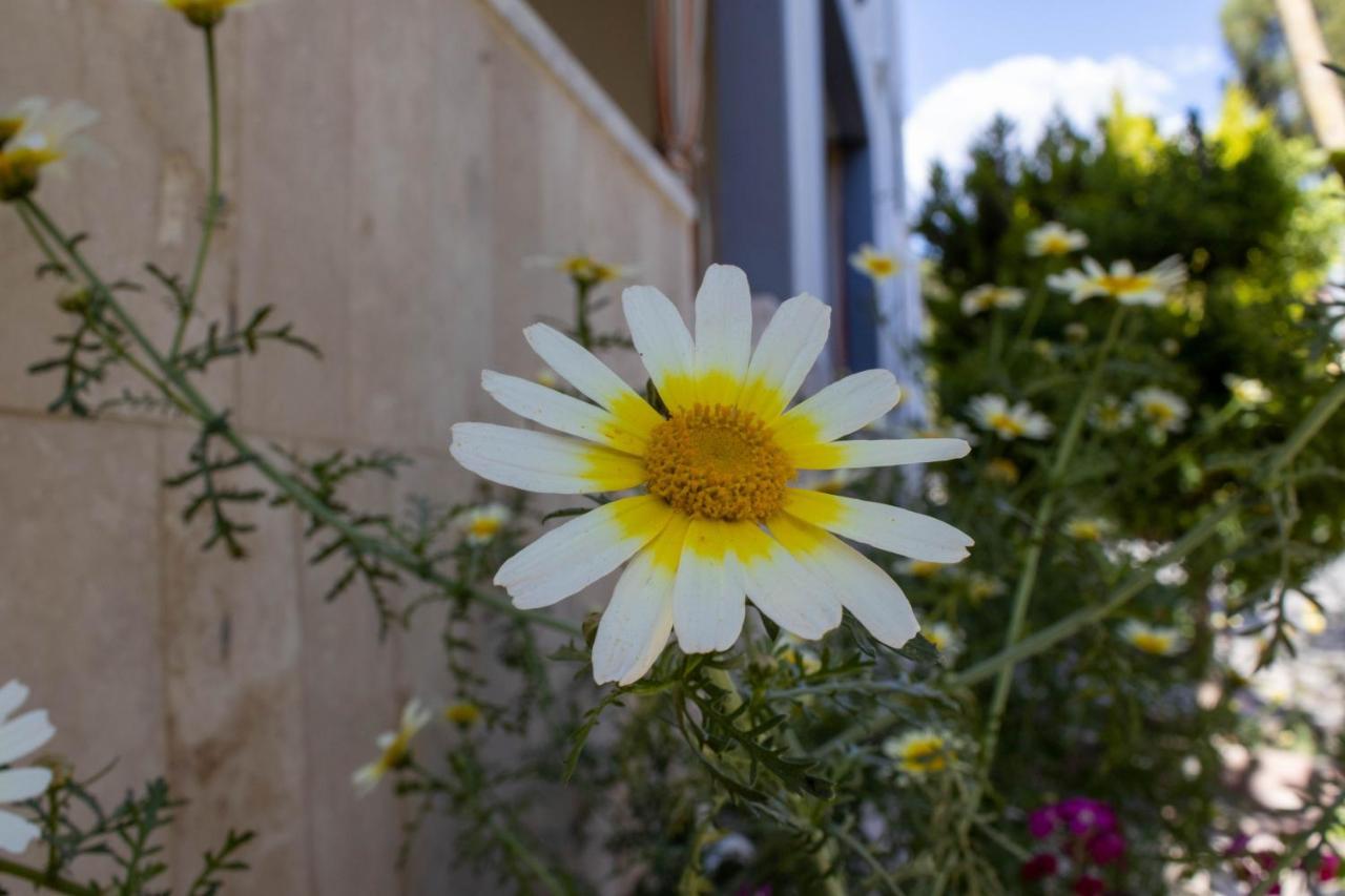 Guenes Apart Otel Pamukkale Exterior foto